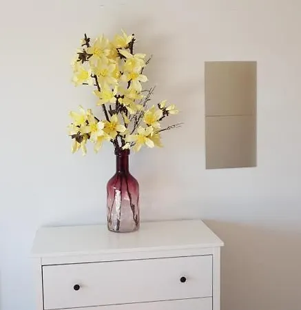 Heart بيت ضيافة